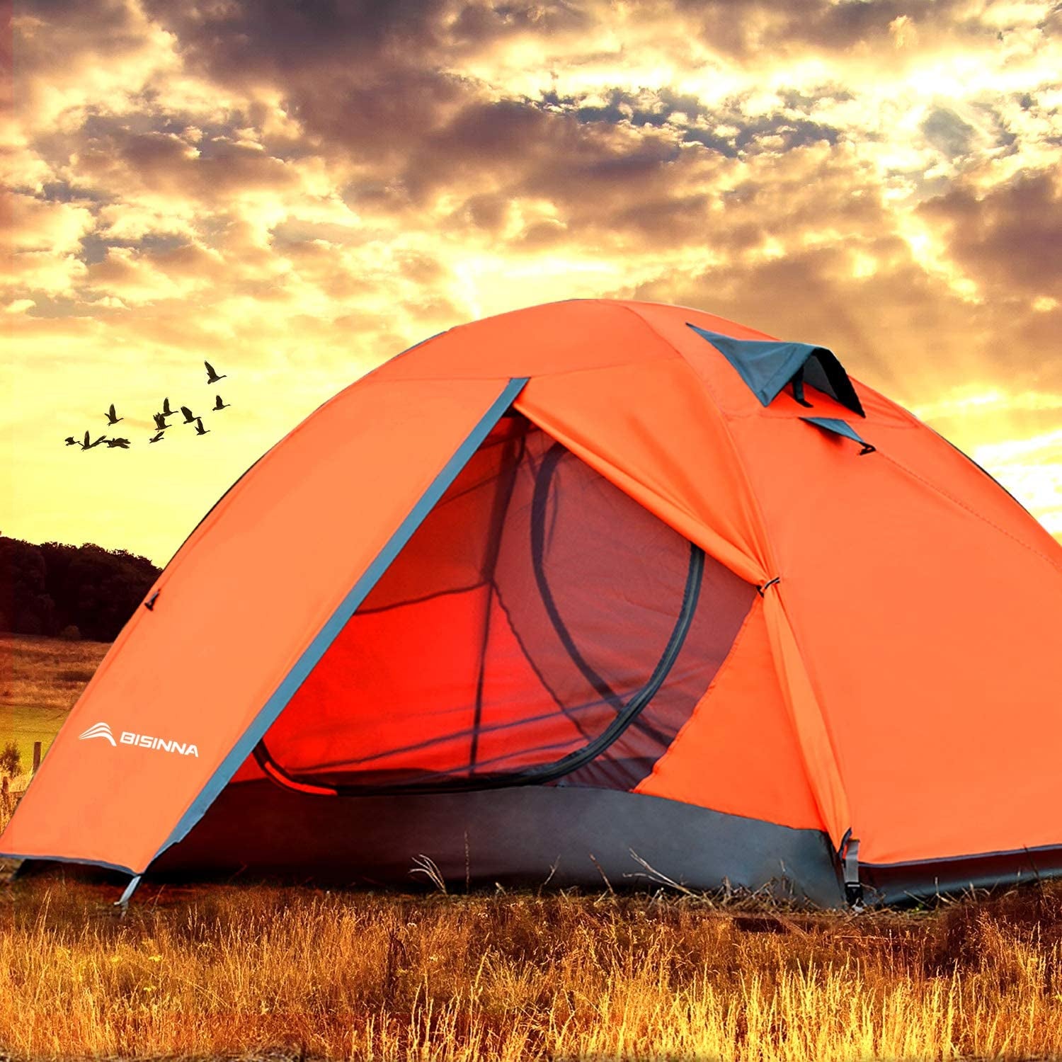 2/4 Person Camping Tent Lightweight Waterproof Backpacking Tent | Easy Setup Windproof Two Doors Double Layer with Rainfly Aluminum Pole Compact Outdoor Tent for Family Camping Hunting Hiking